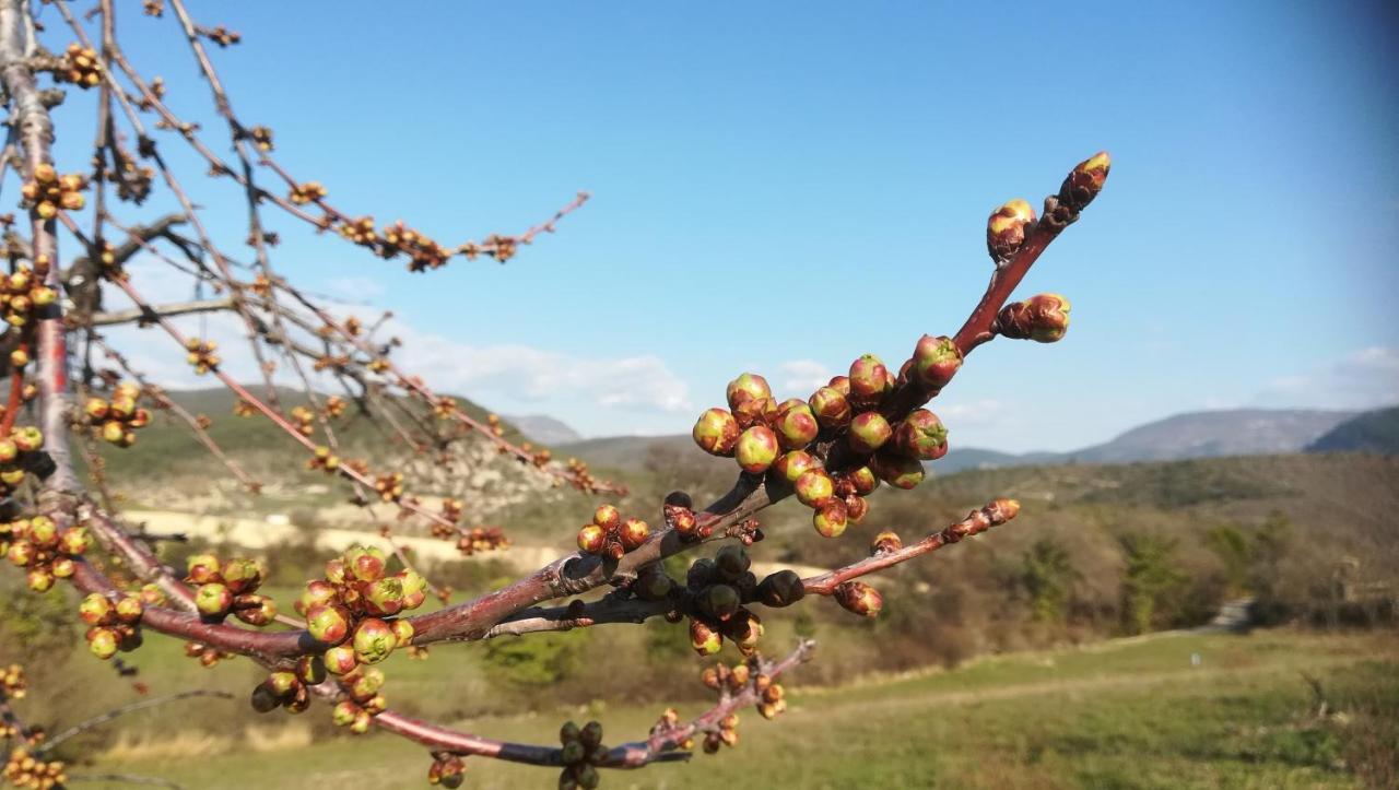 Pie Des Ayrolis Villa Eyroles Dış mekan fotoğraf