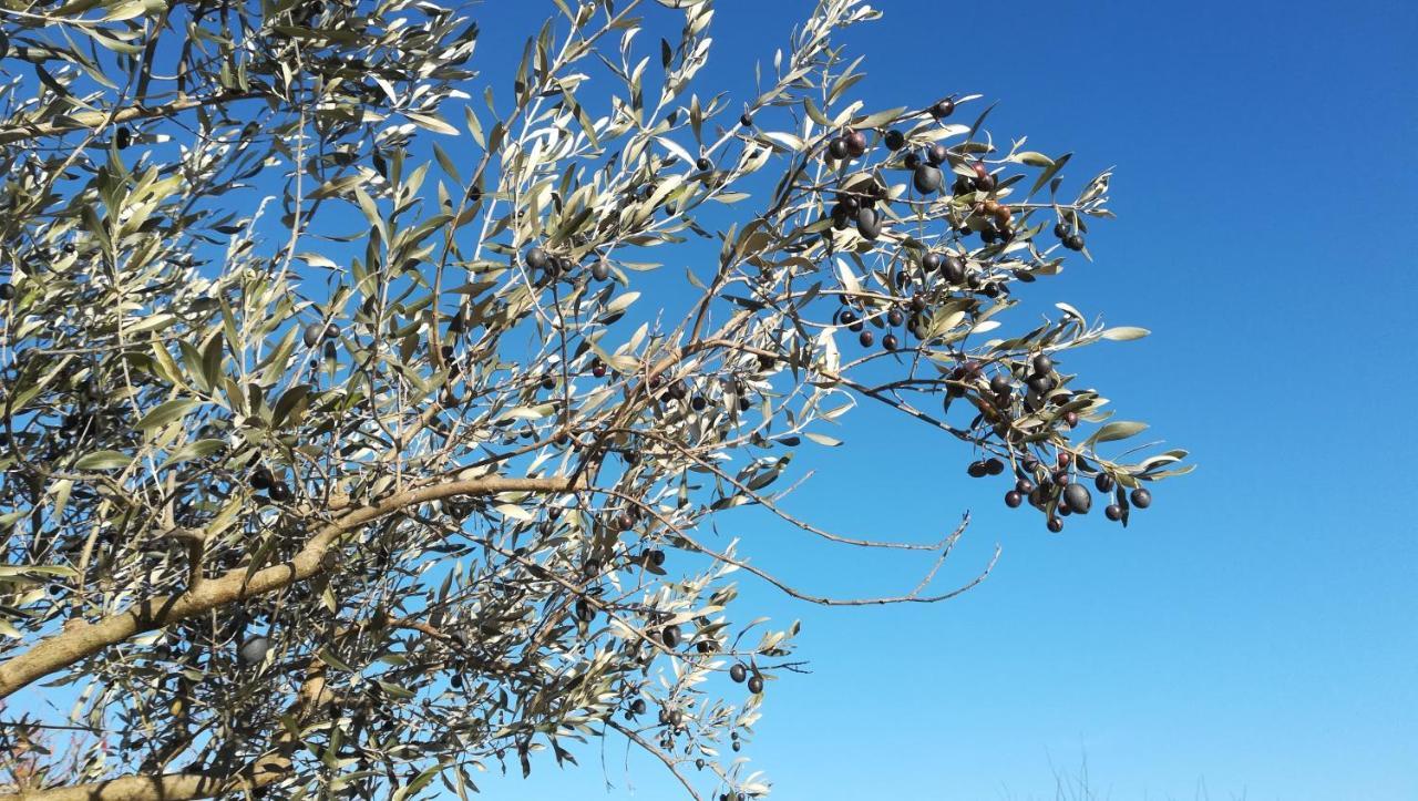 Pie Des Ayrolis Villa Eyroles Dış mekan fotoğraf