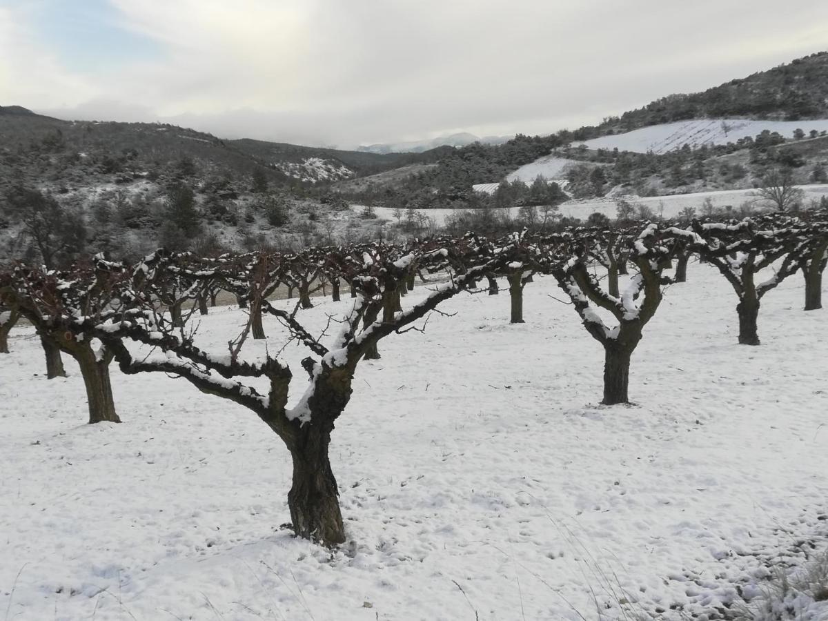 Pie Des Ayrolis Villa Eyroles Dış mekan fotoğraf